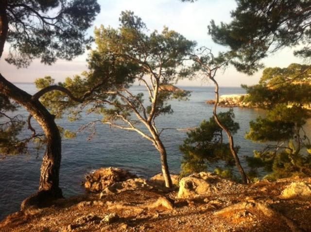 Le Hameau De La Crique De L'Anglaise Bandol Exterior photo